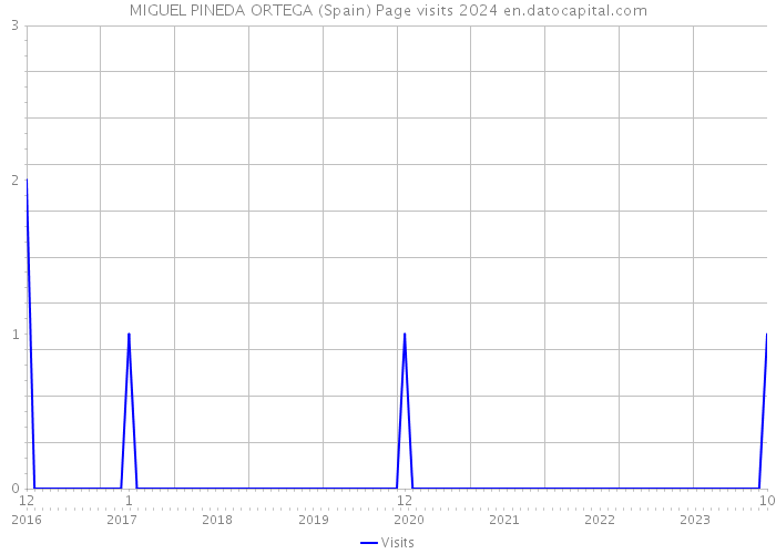 MIGUEL PINEDA ORTEGA (Spain) Page visits 2024 