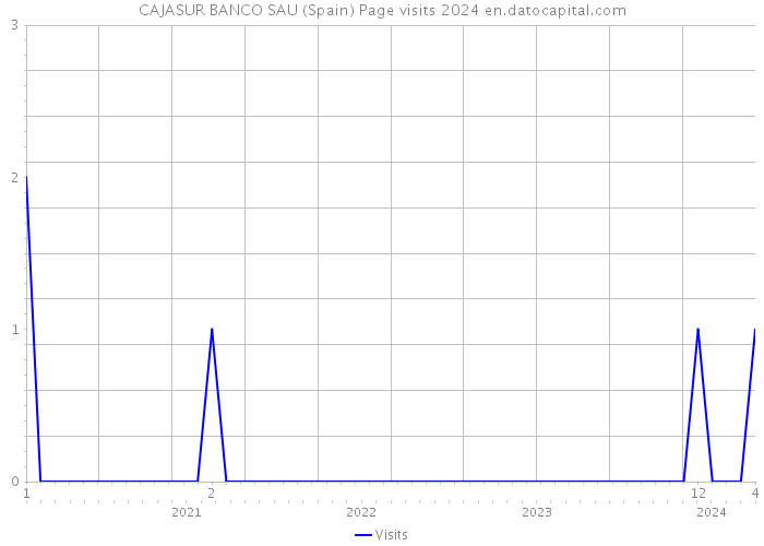 CAJASUR BANCO SAU (Spain) Page visits 2024 