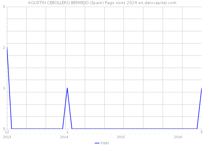 AGUSTIN CEBOLLERO BERMEJO (Spain) Page visits 2024 