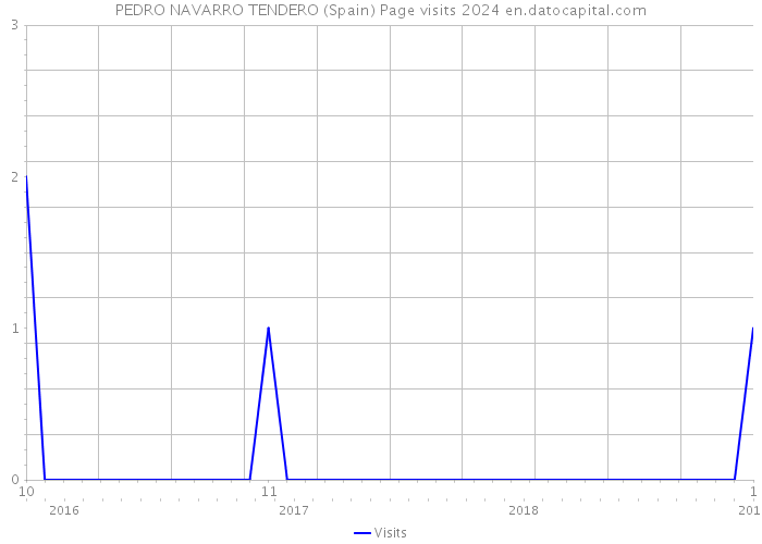 PEDRO NAVARRO TENDERO (Spain) Page visits 2024 