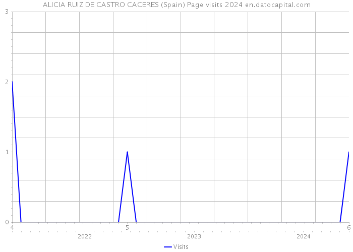 ALICIA RUIZ DE CASTRO CACERES (Spain) Page visits 2024 