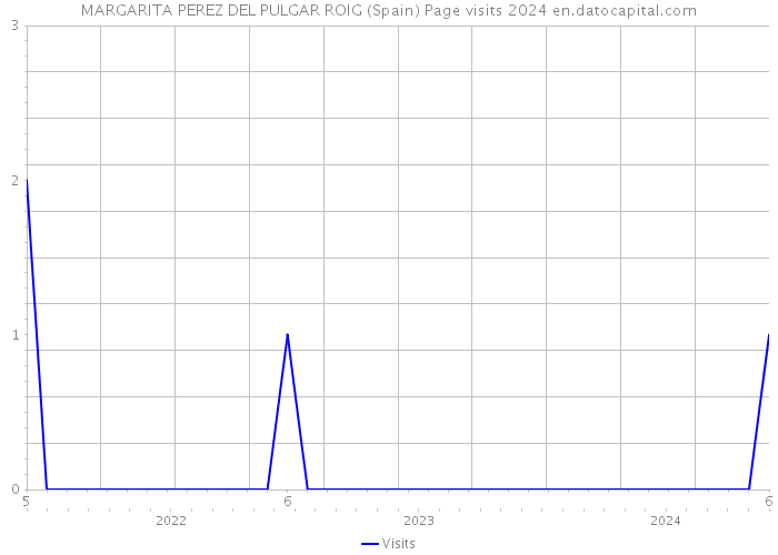 MARGARITA PEREZ DEL PULGAR ROIG (Spain) Page visits 2024 