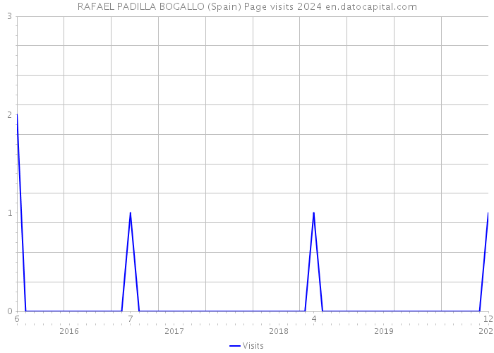 RAFAEL PADILLA BOGALLO (Spain) Page visits 2024 