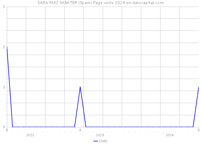 SARA RUIZ SABATER (Spain) Page visits 2024 