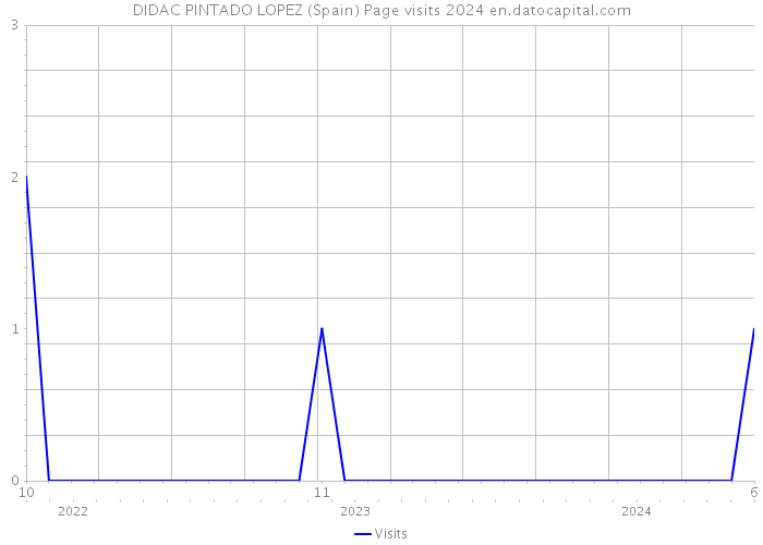 DIDAC PINTADO LOPEZ (Spain) Page visits 2024 