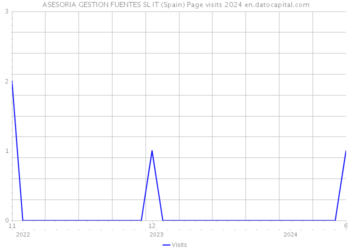  ASESORIA GESTION FUENTES SL IT (Spain) Page visits 2024 