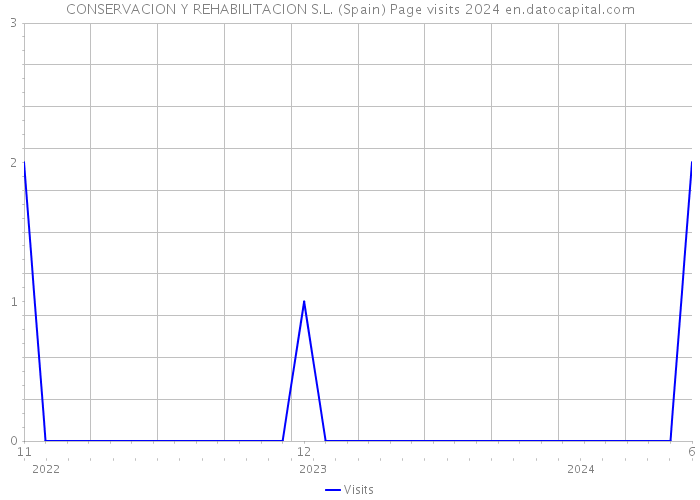 CONSERVACION Y REHABILITACION S.L. (Spain) Page visits 2024 