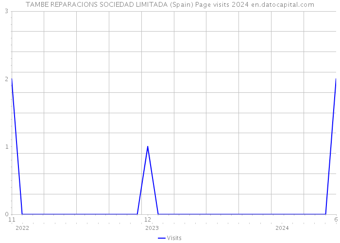 TAMBE REPARACIONS SOCIEDAD LIMITADA (Spain) Page visits 2024 