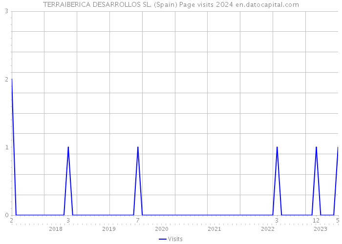 TERRAIBERICA DESARROLLOS SL. (Spain) Page visits 2024 