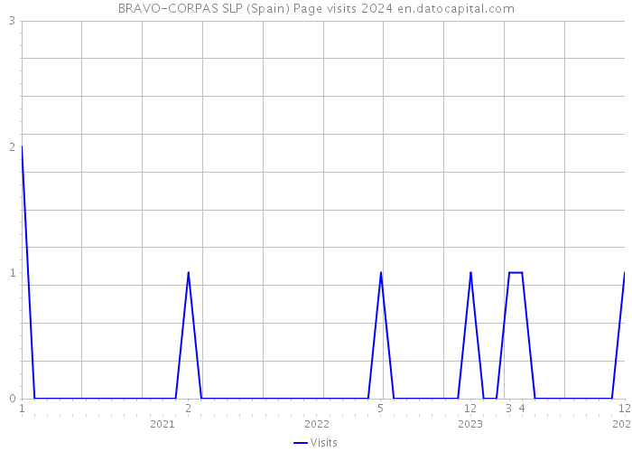 BRAVO-CORPAS SLP (Spain) Page visits 2024 