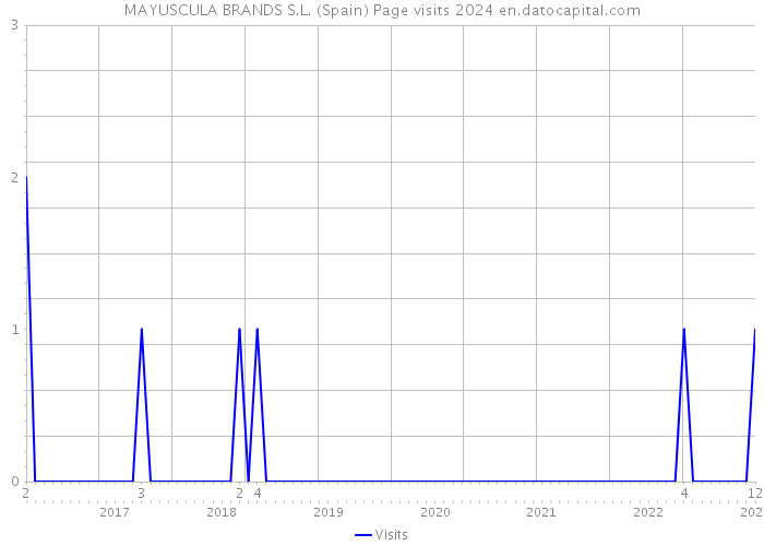 MAYUSCULA BRANDS S.L. (Spain) Page visits 2024 
