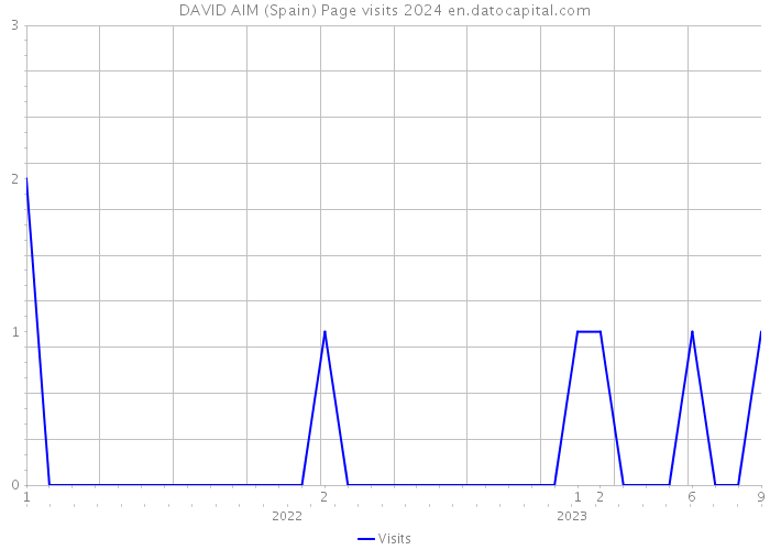 DAVID AIM (Spain) Page visits 2024 