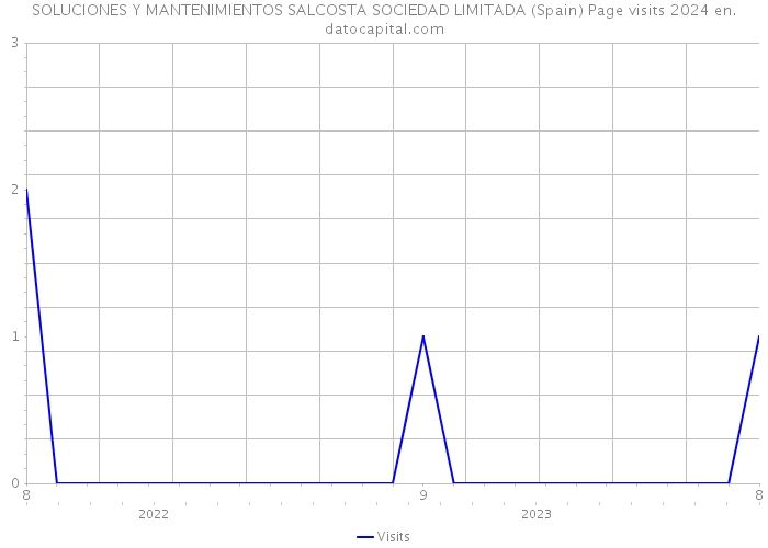SOLUCIONES Y MANTENIMIENTOS SALCOSTA SOCIEDAD LIMITADA (Spain) Page visits 2024 