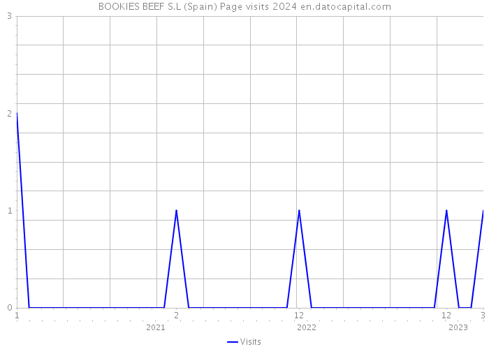 BOOKIES BEEF S.L (Spain) Page visits 2024 