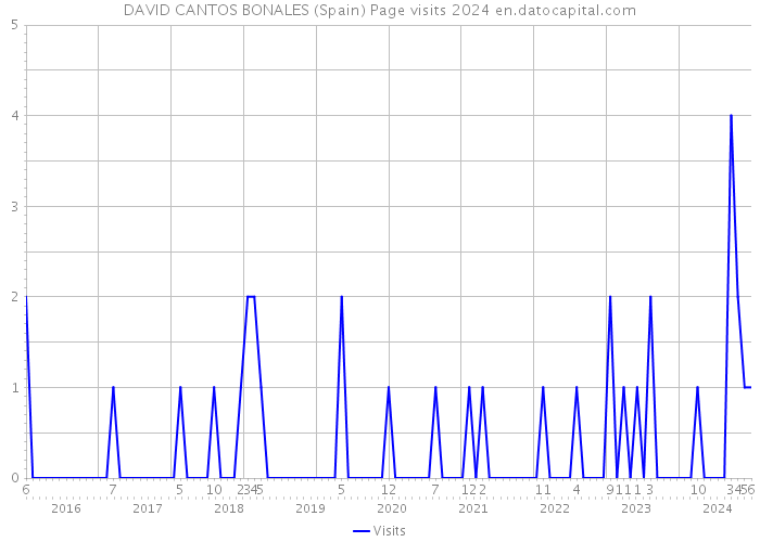 DAVID CANTOS BONALES (Spain) Page visits 2024 