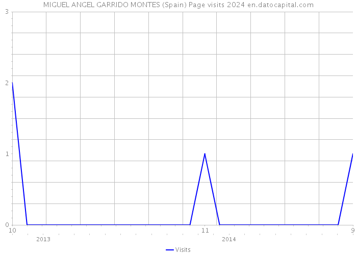 MIGUEL ANGEL GARRIDO MONTES (Spain) Page visits 2024 