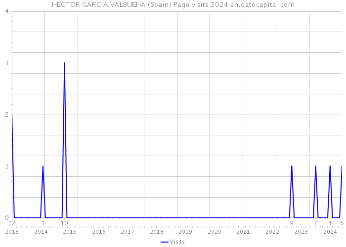 HECTOR GARCIA VALBUENA (Spain) Page visits 2024 