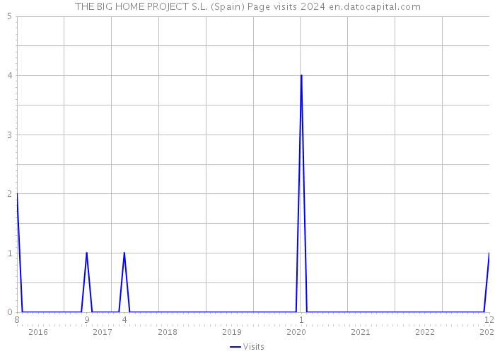 THE BIG HOME PROJECT S.L. (Spain) Page visits 2024 