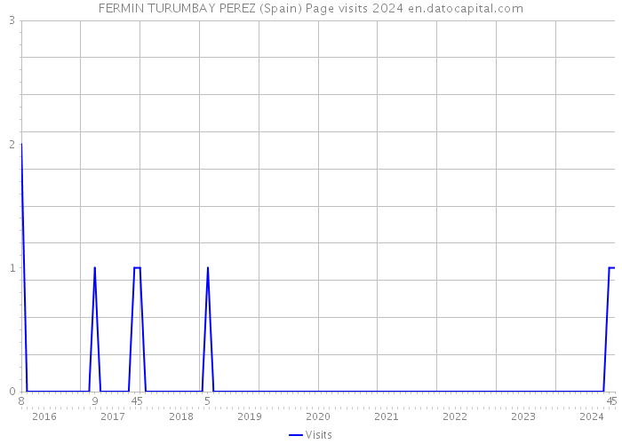 FERMIN TURUMBAY PEREZ (Spain) Page visits 2024 