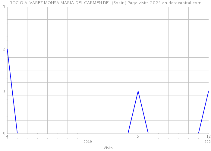 ROCIO ALVAREZ MONSA MARIA DEL CARMEN DEL (Spain) Page visits 2024 