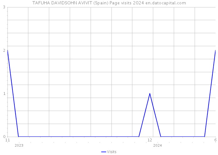 TAFUHA DAVIDSOHN AVIVIT (Spain) Page visits 2024 