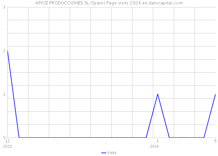 APICE PRODUCCIONES SL (Spain) Page visits 2024 