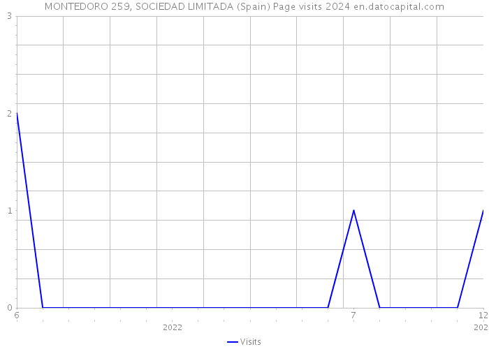 MONTEDORO 259, SOCIEDAD LIMITADA (Spain) Page visits 2024 