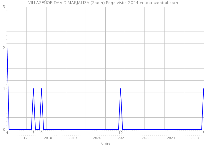 VILLASEÑOR DAVID MARJALIZA (Spain) Page visits 2024 