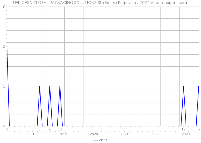 NEKICESA GLOBAL PACKAGING SOLUTIONS SL (Spain) Page visits 2024 