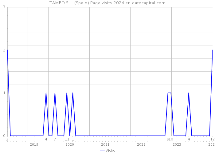 TAMBO S.L. (Spain) Page visits 2024 