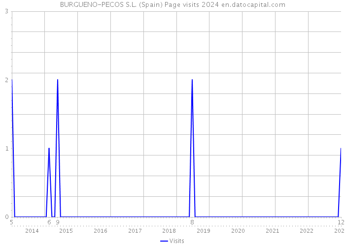 BURGUENO-PECOS S.L. (Spain) Page visits 2024 