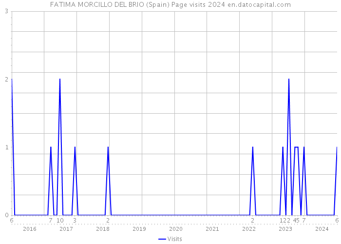 FATIMA MORCILLO DEL BRIO (Spain) Page visits 2024 