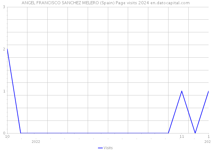 ANGEL FRANCISCO SANCHEZ MELERO (Spain) Page visits 2024 