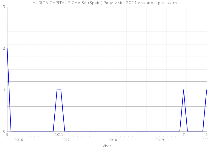 AURIGA CAPITAL SICAV SA (Spain) Page visits 2024 