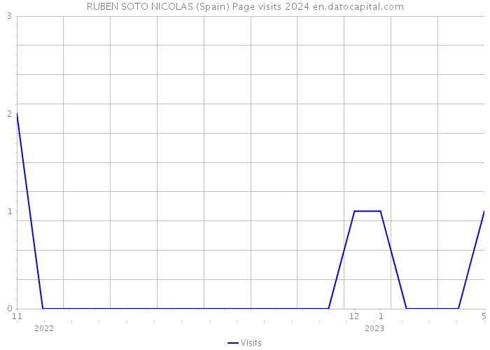 RUBEN SOTO NICOLAS (Spain) Page visits 2024 