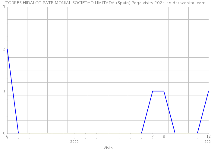 TORRES HIDALGO PATRIMONIAL SOCIEDAD LIMITADA (Spain) Page visits 2024 