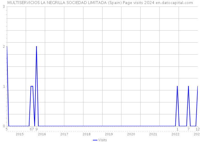 MULTISERVICIOS LA NEGRILLA SOCIEDAD LIMITADA (Spain) Page visits 2024 