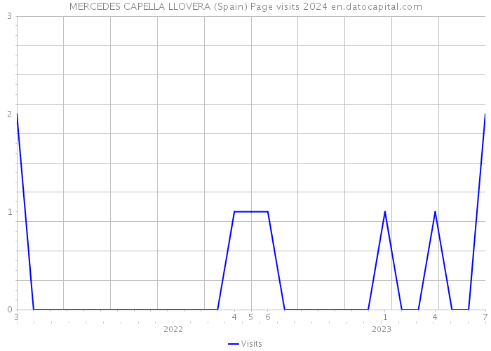 MERCEDES CAPELLA LLOVERA (Spain) Page visits 2024 