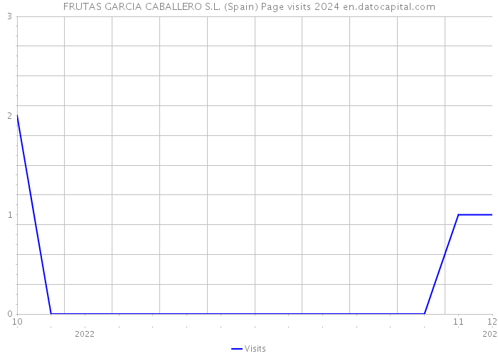 FRUTAS GARCIA CABALLERO S.L. (Spain) Page visits 2024 