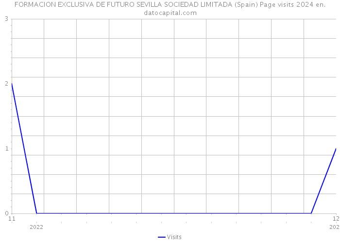 FORMACION EXCLUSIVA DE FUTURO SEVILLA SOCIEDAD LIMITADA (Spain) Page visits 2024 