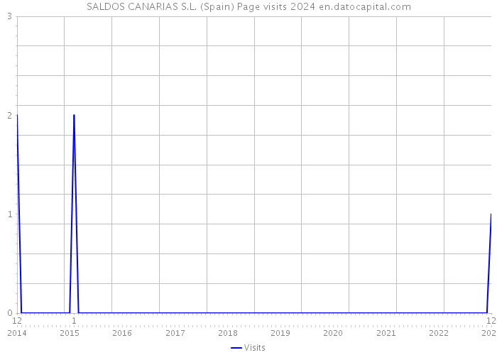 SALDOS CANARIAS S.L. (Spain) Page visits 2024 