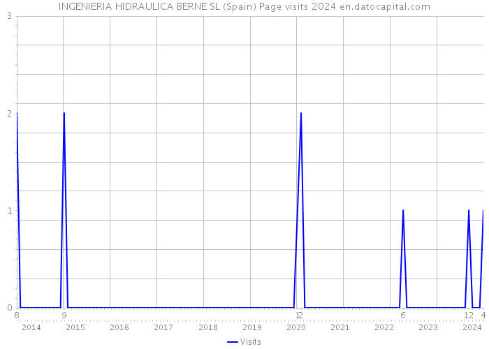 INGENIERIA HIDRAULICA BERNE SL (Spain) Page visits 2024 