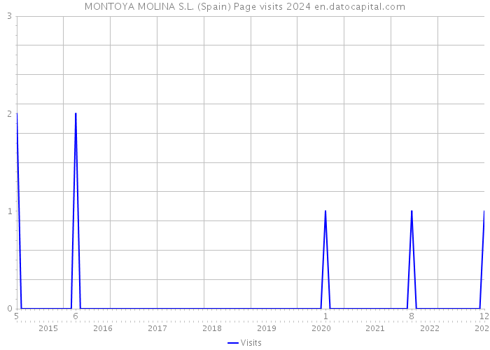 MONTOYA MOLINA S.L. (Spain) Page visits 2024 