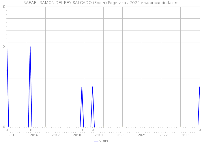 RAFAEL RAMON DEL REY SALGADO (Spain) Page visits 2024 