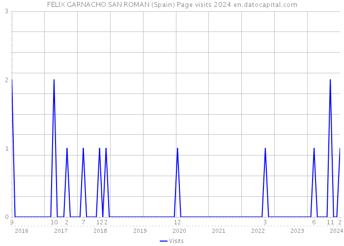 FELIX GARNACHO SAN ROMAN (Spain) Page visits 2024 