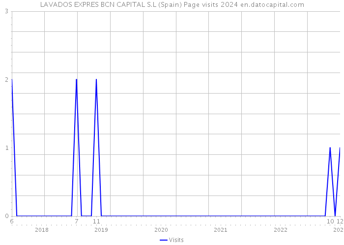 LAVADOS EXPRES BCN CAPITAL S.L (Spain) Page visits 2024 