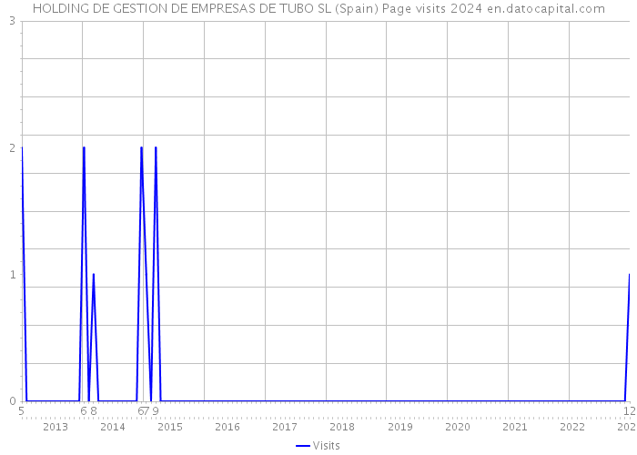 HOLDING DE GESTION DE EMPRESAS DE TUBO SL (Spain) Page visits 2024 