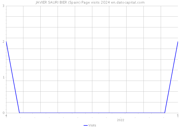 JAVIER SAURI BIER (Spain) Page visits 2024 