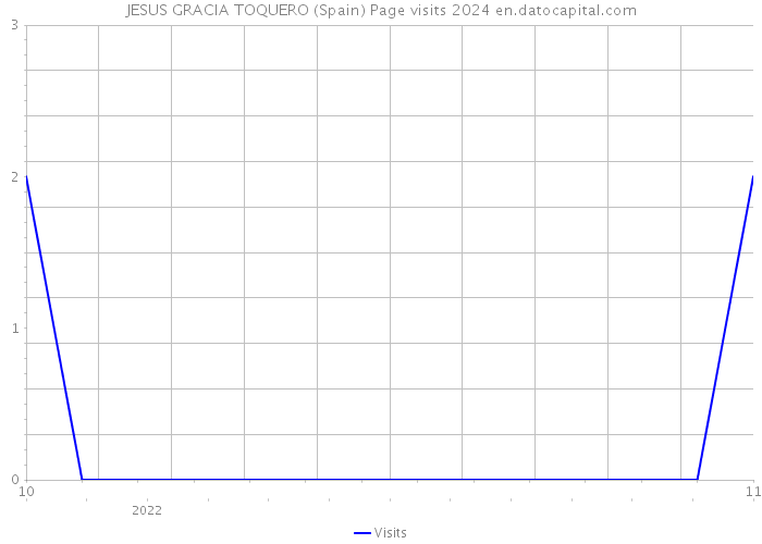 JESUS GRACIA TOQUERO (Spain) Page visits 2024 