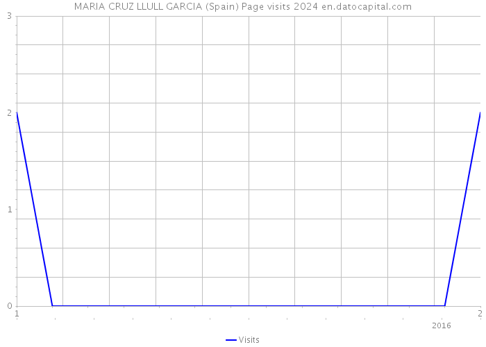 MARIA CRUZ LLULL GARCIA (Spain) Page visits 2024 